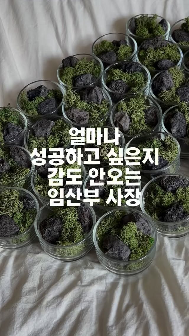 tets.terraria 게시물 이미지: 🌱왜  임신 막달이 되어갈 수록
더더더 열심히 하고 싶죠😂😂

오프라인을 못나가다...
