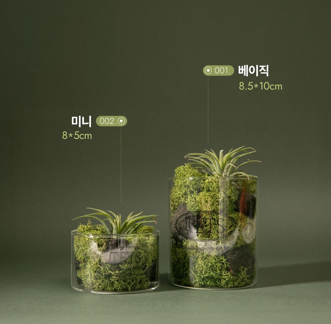 tets.terraria 게시물 이미지: 이 오브제의 숨겨진 이야기
유리에 담긴 만큼 투명함이 너무나 매력적이었지만
유리와...