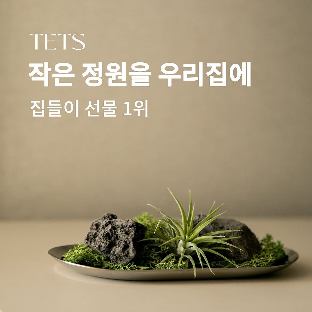 tets.terraria 게시물 이미지: 🌿시들지 않는 플랫 테라리움
텟츠의 MOSS TRAY

소중한 공간에 식물...