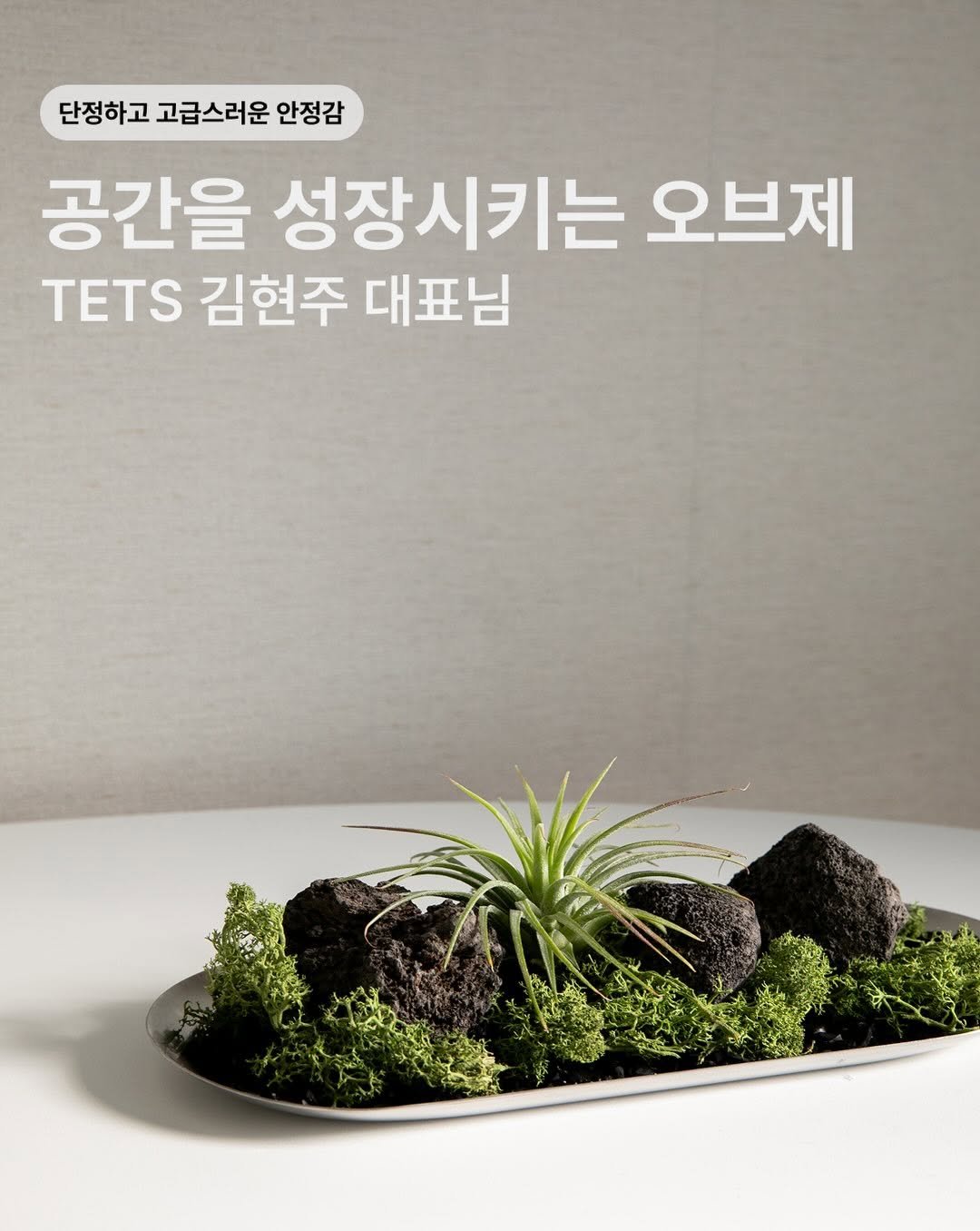 tets.terraria 게시물 이미지: 공간과 함께 자라게 하는 오브제, 텟츠 김현주 대표님 🌿

어쩜 이렇게...