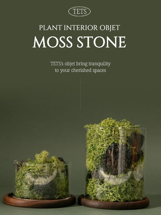 Photo by TETS 텟츠 on October 17, 2025. May be an image of plant.