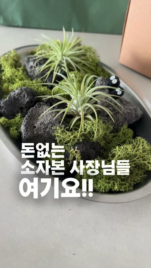 tets.terraria 게시물 이미지: 소자본 사장님들을 위한
찐으로 경험하고 도움됐던 방법!
**매출 3배 이상 올렸던...