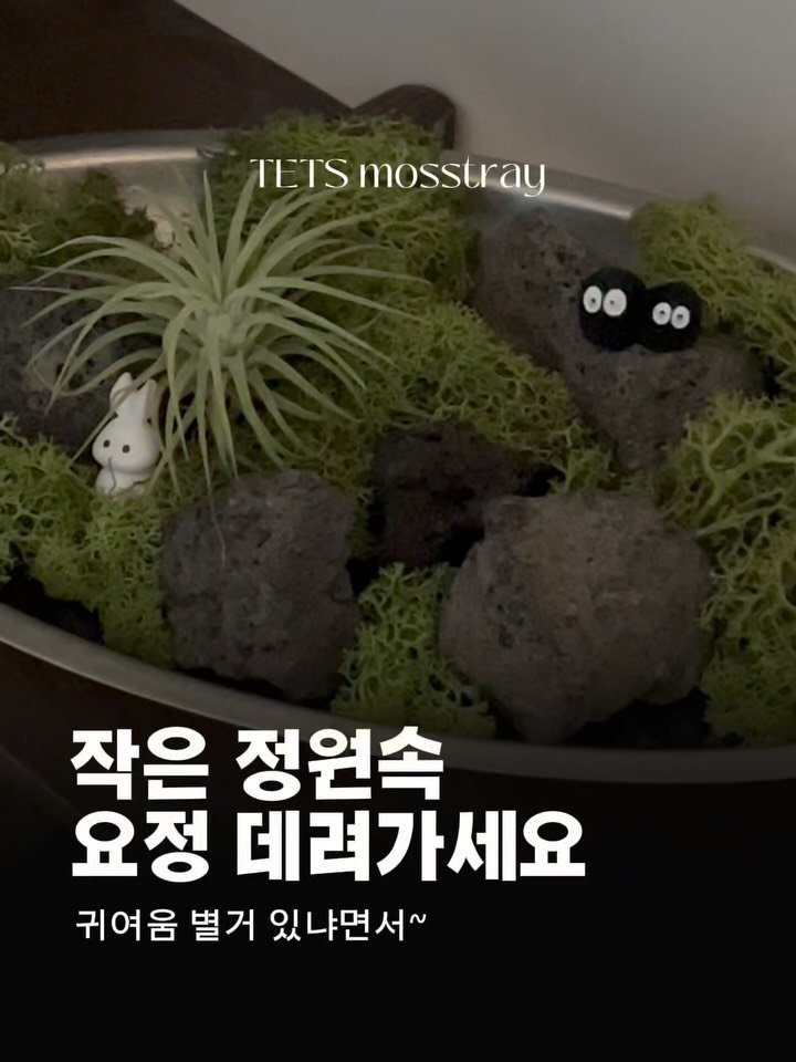 tets.terraria 게시물 이미지: 💚텟츠의 모든 오브제는 작은 요정이 함께합니다!
원하시는 피규어가 있다면 구매 후...