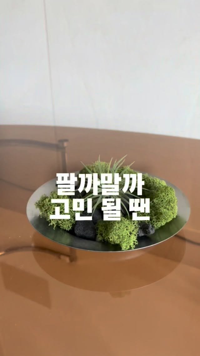 tets.terraria 게시물 이미지: 팔까말까 고민한 이유는
.......

당시 가장 저렴하게 판매하던게
1만원...