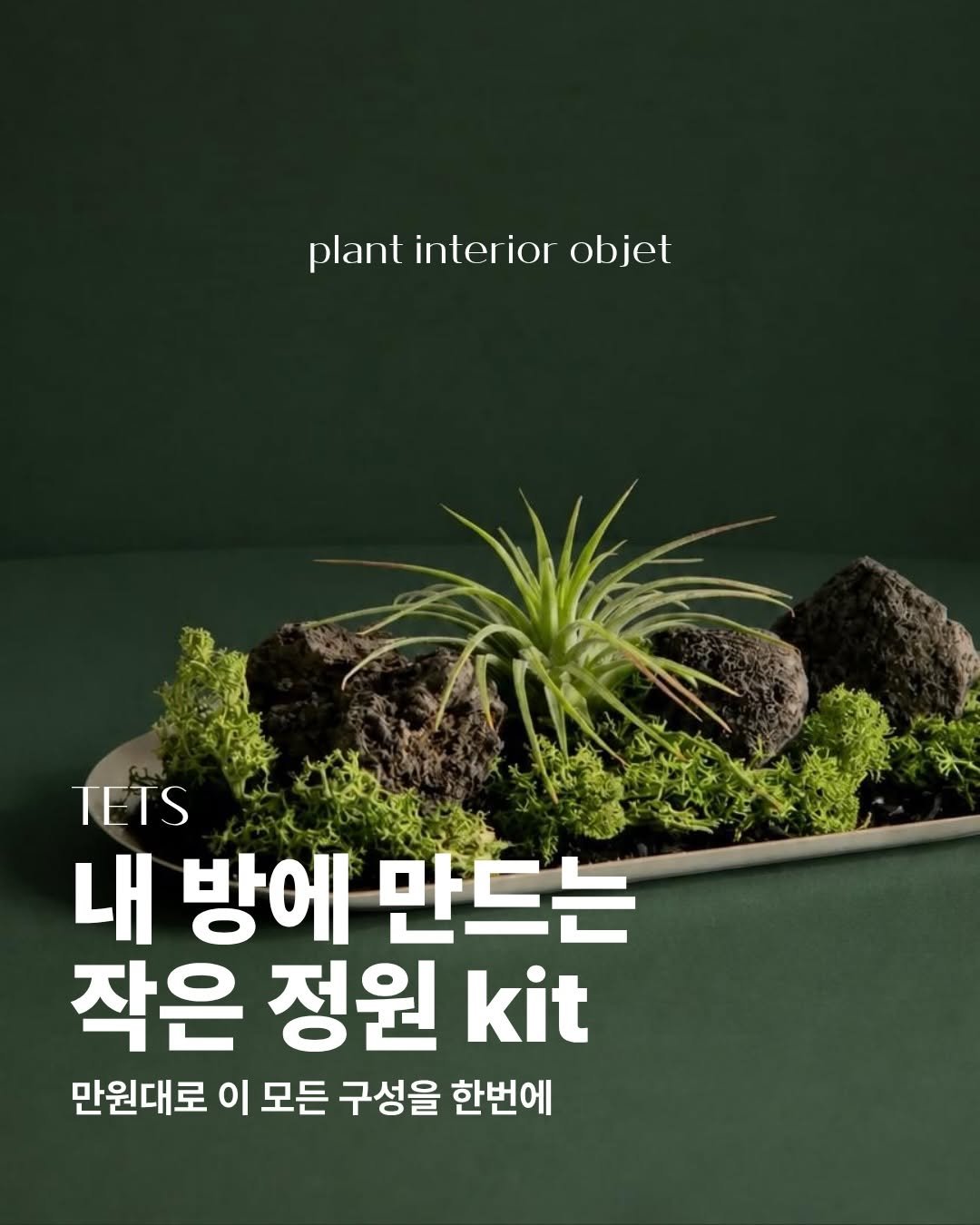 tets.terraria 게시물 이미지: 🍀시들지 않는 나만의 작은 정원
소중한 공간에 식물 오브제의 푸르름을 선물해...