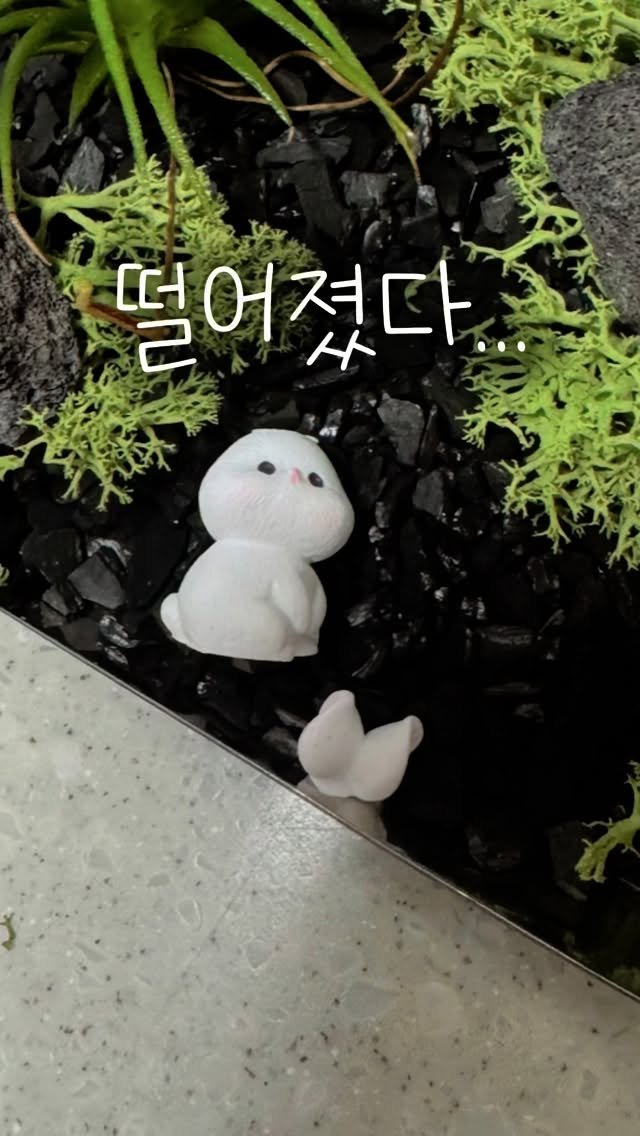 tets.terraria 게시물 이미지: 🌱가끔 고객님들이 이런 경우
서비스라 말하기 어려웠다고 하시는데

사실 서비스...