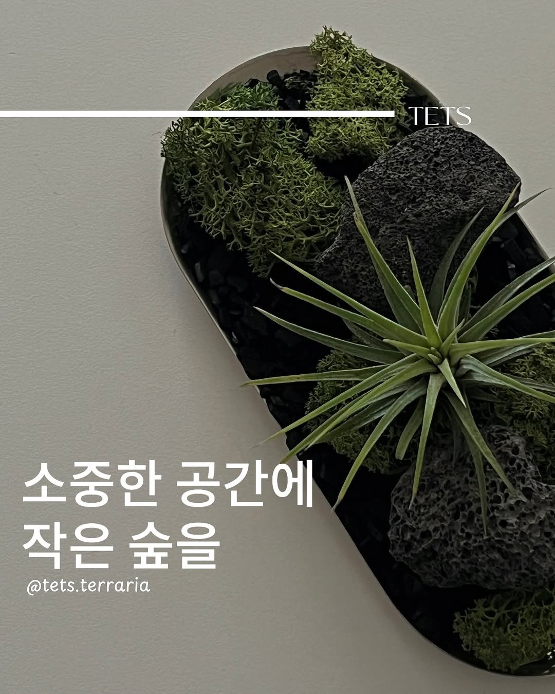 Photo by TETS 텟츠 on February 13, 2025.