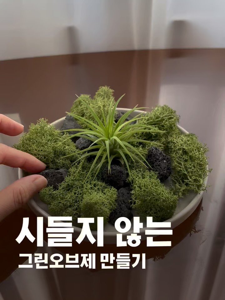 tets.terraria 게시물 이미지: 🌱텟츠 트라이얼 키트
봄맞이 기념 49%할인을 시작했어요!
조각케이크 하나 가격으로...