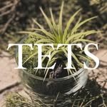 tets.terraria 인스타그램 프로필 사진