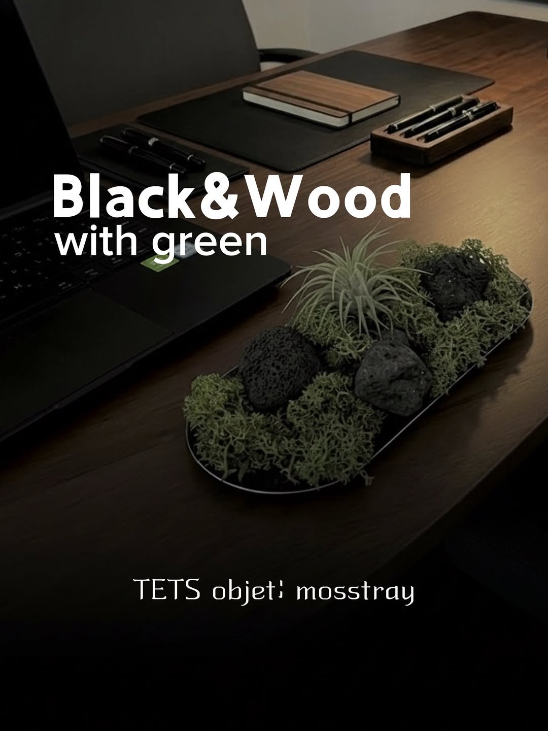 tets.terraria 게시물 이미지: 🌱블랙&우드 인테리어에 텟츠 오브제는
후기에서도 많이 보이는 조합이에요

특유의...