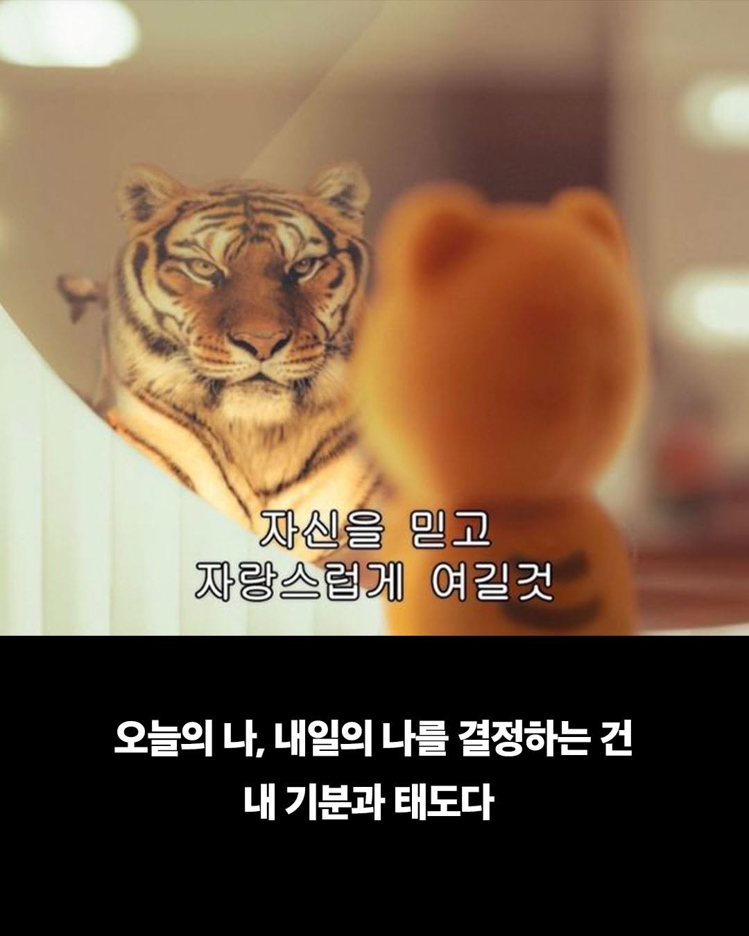 Photo by 텍스트호르몬 on November 14, 2025. May be an image of pie and text that says '자신을믿고 자신을 믿고 자랑스럽게 여길것 오늘의 나, 내일의 나를 결정하는 건 내 기분과 태도다'.