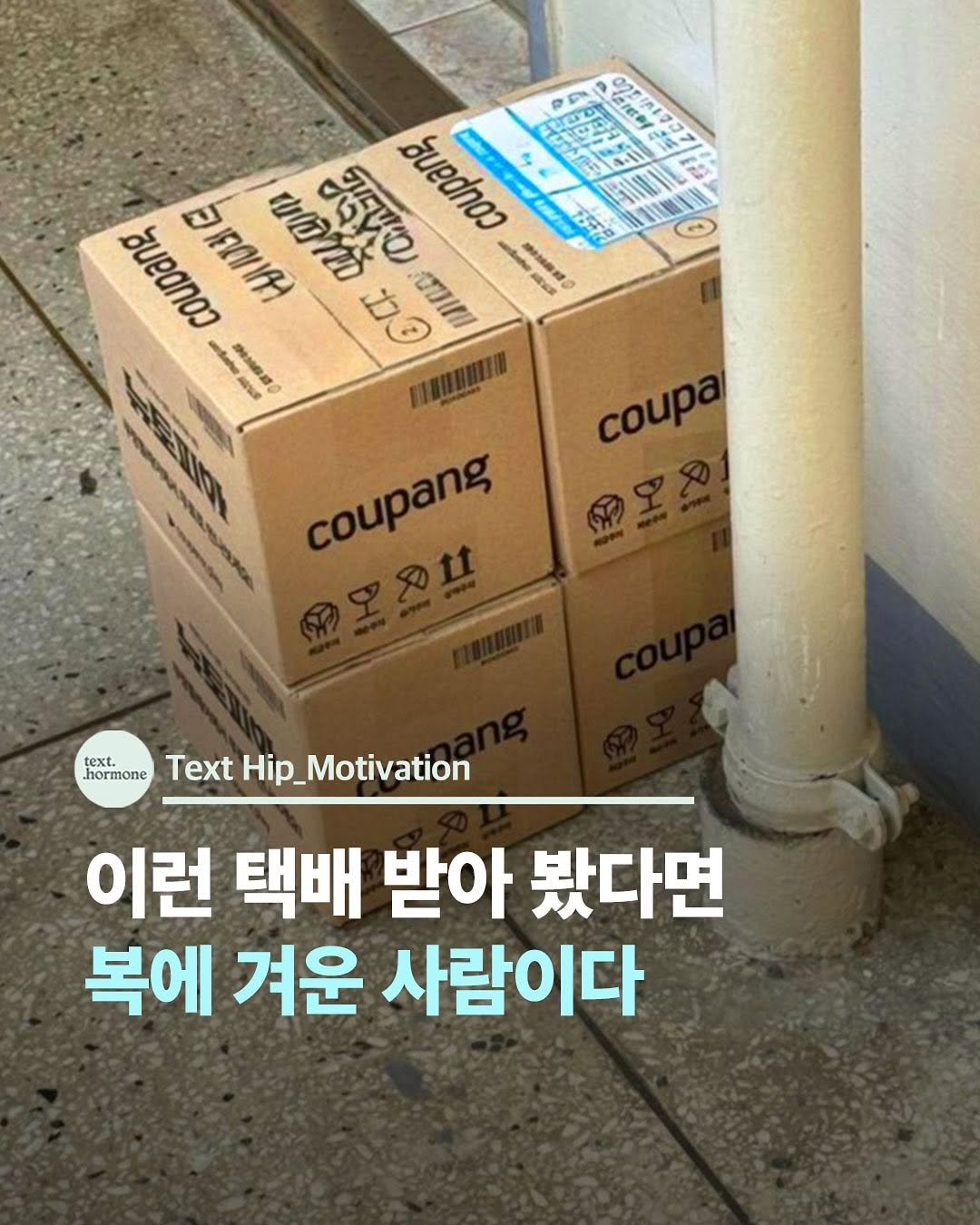 Photo by 텍스트호르몬 on August 16, 2025. May be an image of carton and text.