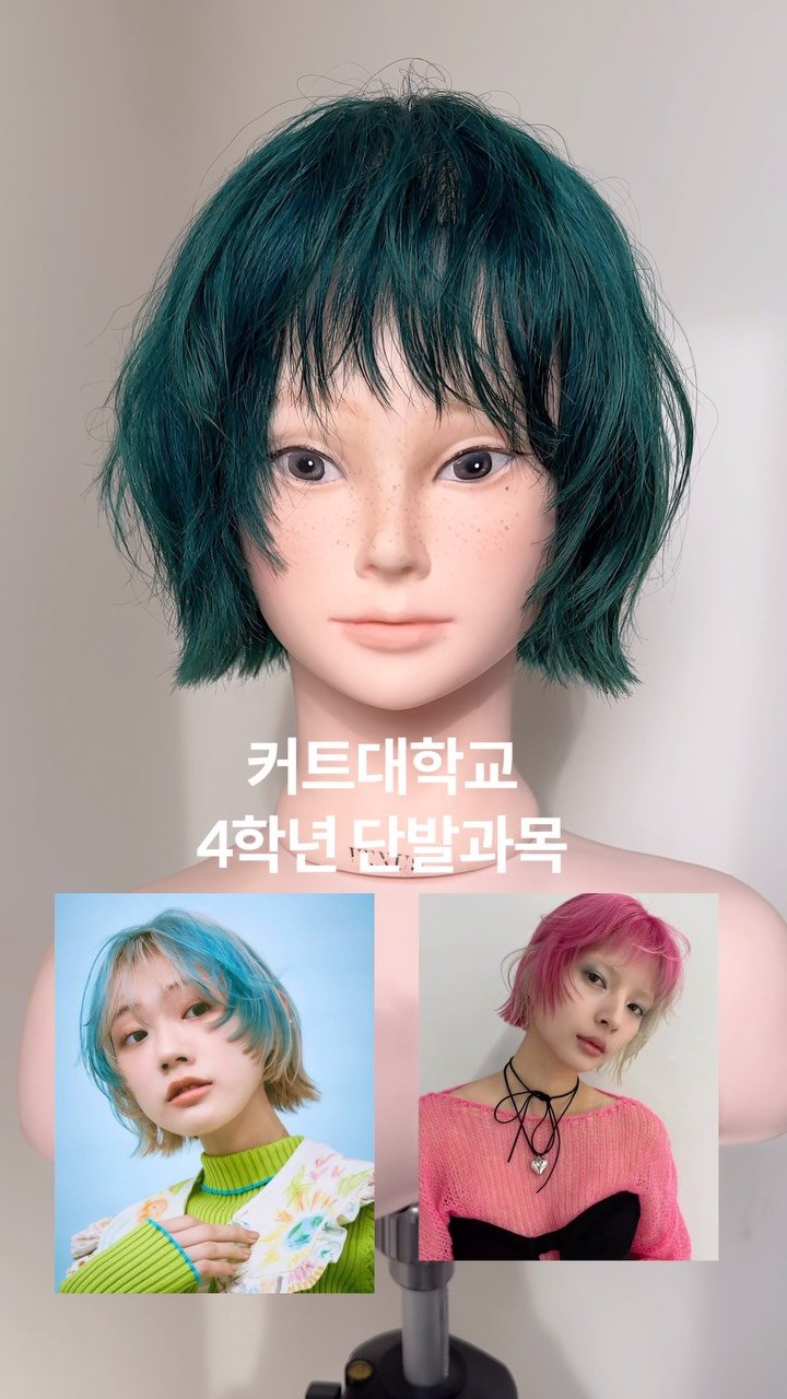 tg_sungwook 게시물 이미지: 커트대학교 4학년과정 텍스쳐 단발 디자인 

리버스레이어와...