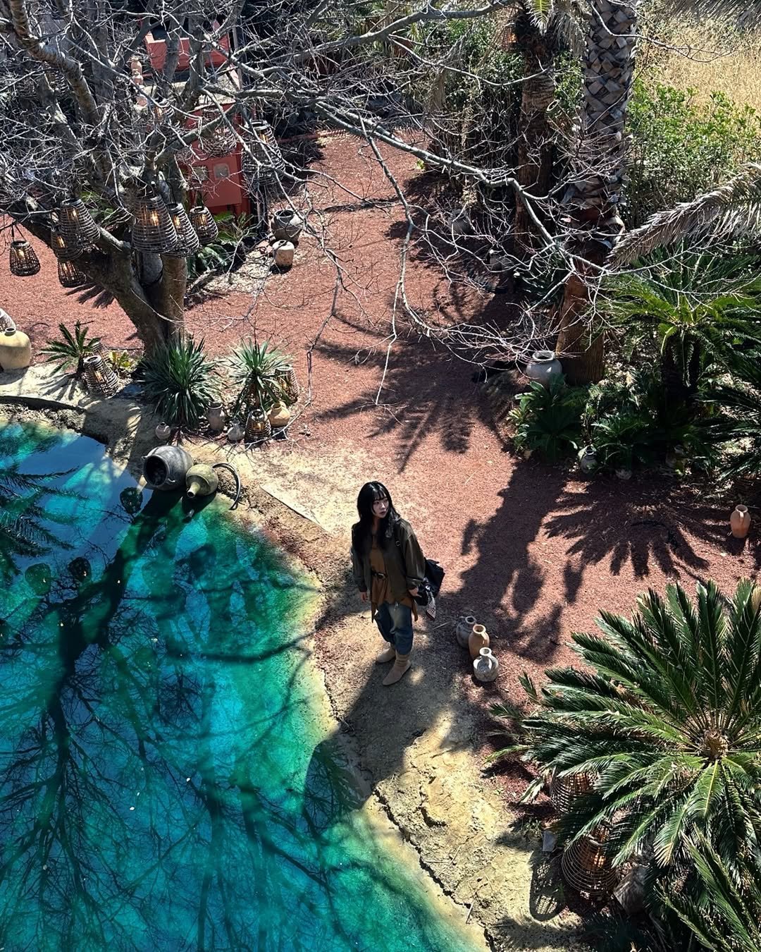 Photo shared by sa♡⃕ on March 26, 2026 tagging @standarderror_official. May be an image of palm trees and text.