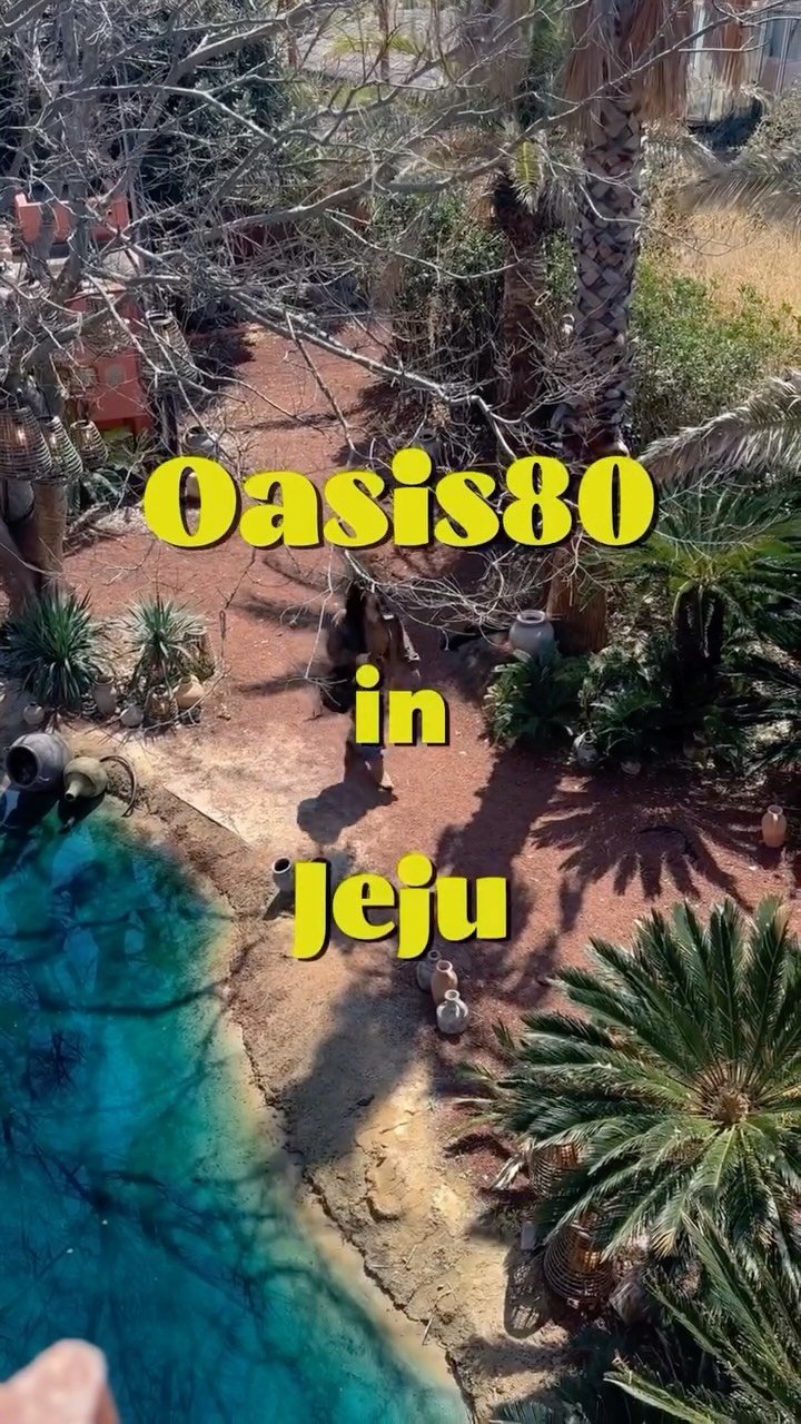 th2__a 게시물 이미지: 제주 애월에서 발견한 이국적인 감성 🌴✨
오아시스80

중동 느낌 물씬 나는...