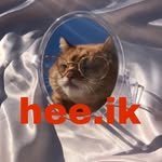 heeik.vintage 프로필 사진