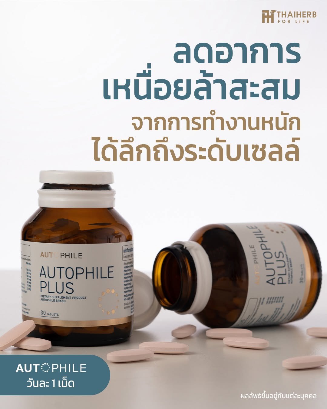 Photo by ไทยเฮิร์บ ฟอร์ ไลฟ์ on December 04, 2025. May be an image of text that says '้ FOR LiFE ลดอาการ เหนื่อยล้าสะสม เหนื่อย ล้าสะสม จากการทำงานหนัก ได้ลึกถึงระดับเซลล์ ได้ ดับเ AUT PHILE AUTOPHILE PLUS BETARYS NJTOPHLE BRAND PRCOUCT TABLETS PHILE AUTOPHIL PLUS 5 30 ก H!!! AUTOPHILE PHILE AUT: วันละ1เม็ด วันละ 1เม็ด ผลลัพธิ์ขึ้อยู่กับแต่ละบุคคล'.