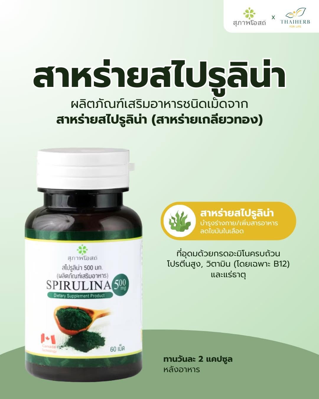 Photo by ไทยเฮิร์บ ฟอร์ ไลฟ์ on April 08, 2026. May be an image of text that says 'x THAIHERB สุภาพโอสถี สาหร่ายสไปรูลิน่า ไปรูลิน่า ผลิตภัณฑ์เสริมอาหารชนิดเม็ดจาก มอา ผลิ สริมอาหารชนิ มิดจาก สาหร่ายสไปรูลีน่า (สาหร่ายเกลียวทอง) สาหร่ายสไปรูลิน่า สาหร่าย บำรุงร่างกาย/เพิ่มสารอาหาร บำรุงรางกาย/เผนสารอาหาร ลดไขมันในเลือด สุภาพโอสด สไปรูลิน่า 500 un. ผลิตภัณฑ์เสริมอ าหาร) SPIRULINA 500 Detary Supplement DetarySupplementProdct Product ที่อุดมด้วยกรดอะมิโนครบถ้วน โปรตีนสูง, วิตามิน (โดยเฉพาะ B12) และแร่ธาตุ M Lanada 60 60เม็ด เม็ด ทานวันละ ทนนล2แคปซูล 2 แคปซูล หลังอาหาร'.