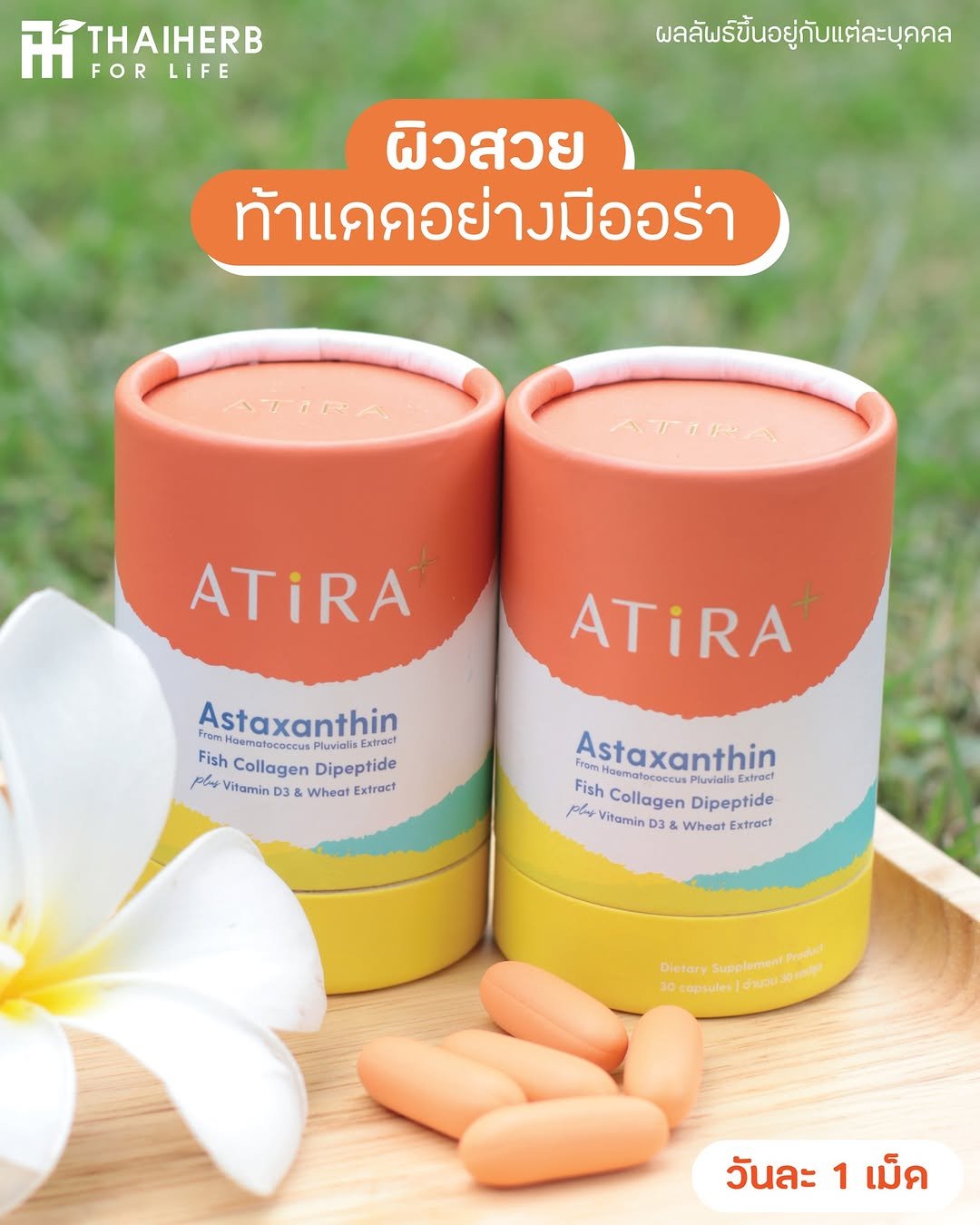 Photo by ไทยเฮิร์บ ฟอร์ ไลฟ์ on September 22, 2025. May be an image of hair product, lotion and text that says '귀 FORLIFE FOR LIFE THAIHERB ผลลัพธ์ขึ้นอยู่กับแต่ละบุคคล ยู่กับแต่ละบุคคล ผิวสวย ท้าแคดอย่างมีออร่า ท้า ย่าง มีออร่า ATIRA ATIRA ATiRA ATIRA FromH Astaxanthin FishCollagenDipeptide Fish Collagen Dipeptide plas Vitamin 38 & Wheat Extract Astaxanthin PlamcollagenDipeptide plas Vitamin 3& Fish CematococcusPluvi usPluviali Collagen Dipeptide Nhea WheatExtroct Extroct Dietory .ป/นนว0 10 capsules Supplemen OetorySuooomenoe Prodes วันละ 1 เม็ค'.