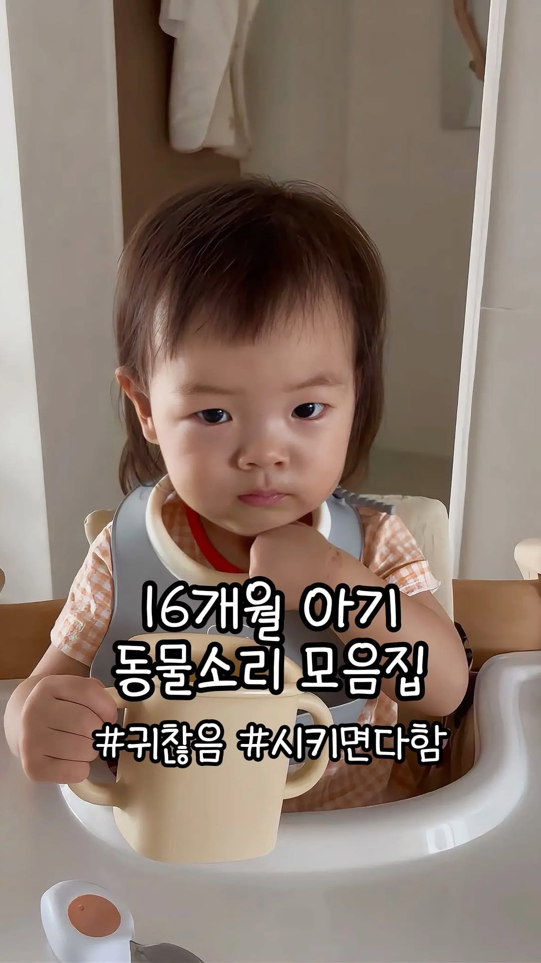 thank_u_girl 게시물 이미지: D+497 뒤죽박죽 물어봐도 곧 잘 하는 동물소리들! 표정 좀 풀어주면 안될까?...