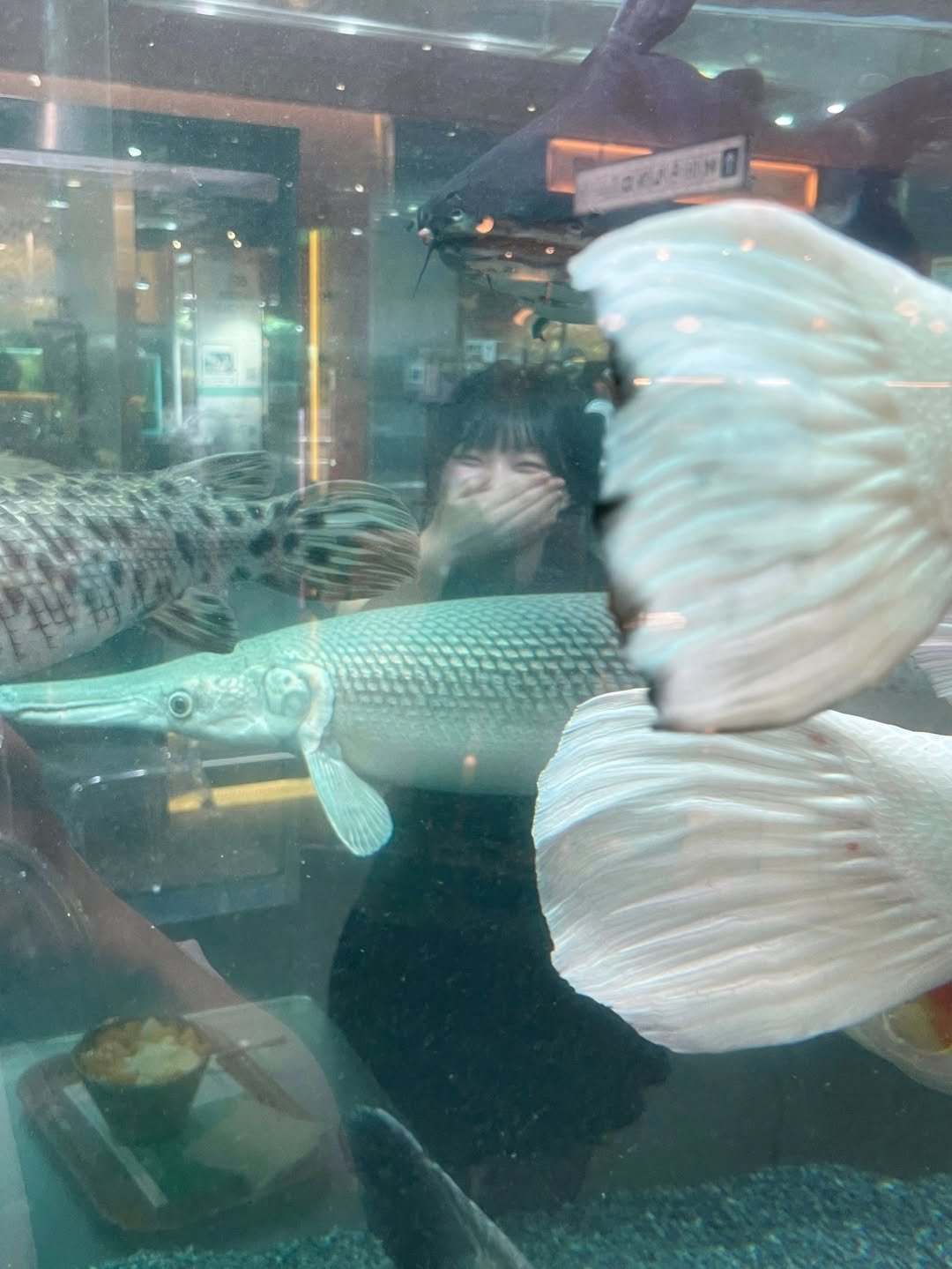 Photo by 먹샘 on August 19, 2025. May be an image of fish and text.
