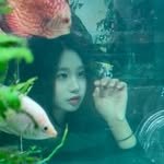 프로필