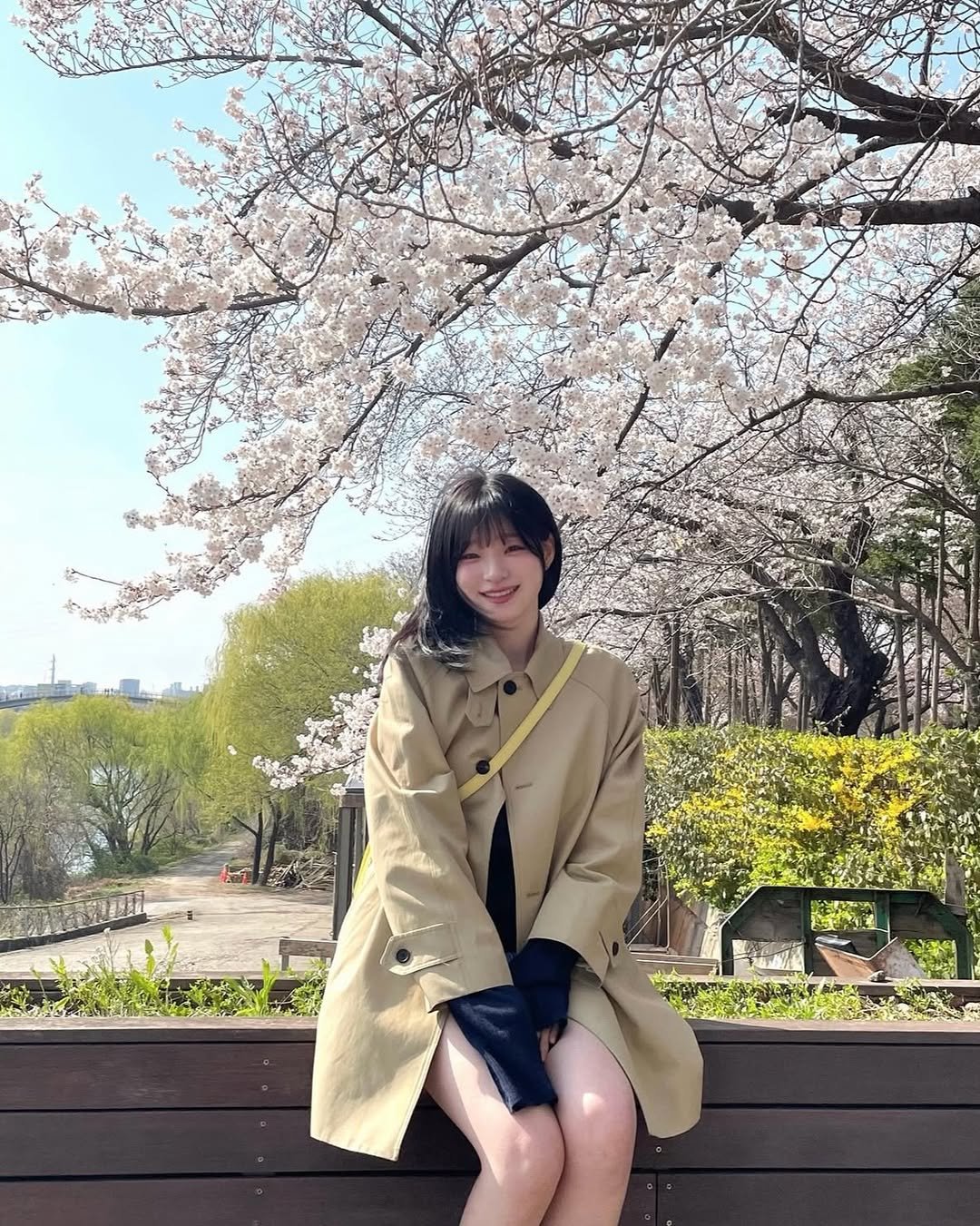 Photo by 먹샘 on December 29, 2025. May be an image of overcoat, stone-fruit tree and text.