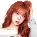 프로필