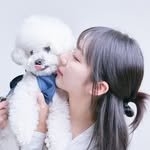 프로필