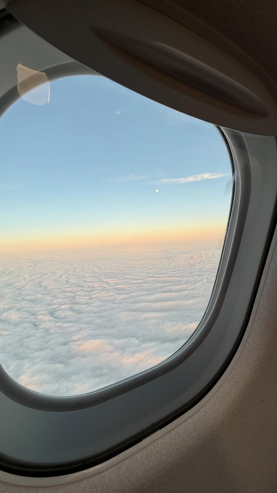 thanya 게시물 이미지: don’t get fooled

ib @leanneareum