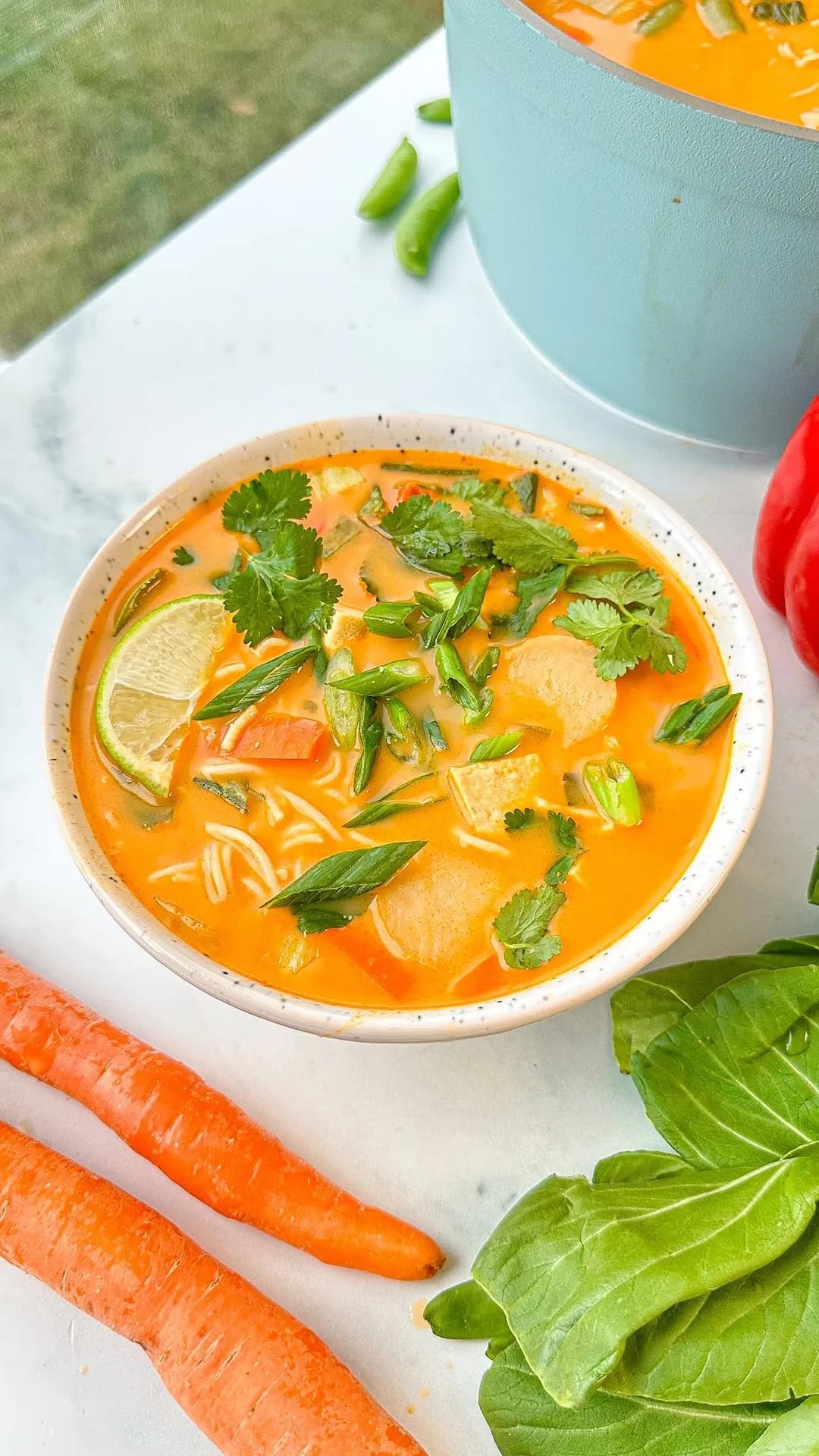 that.veganbabe 게시물 이미지: Coconut Thai Curry Noodle Soup 🍜 

The perfect...