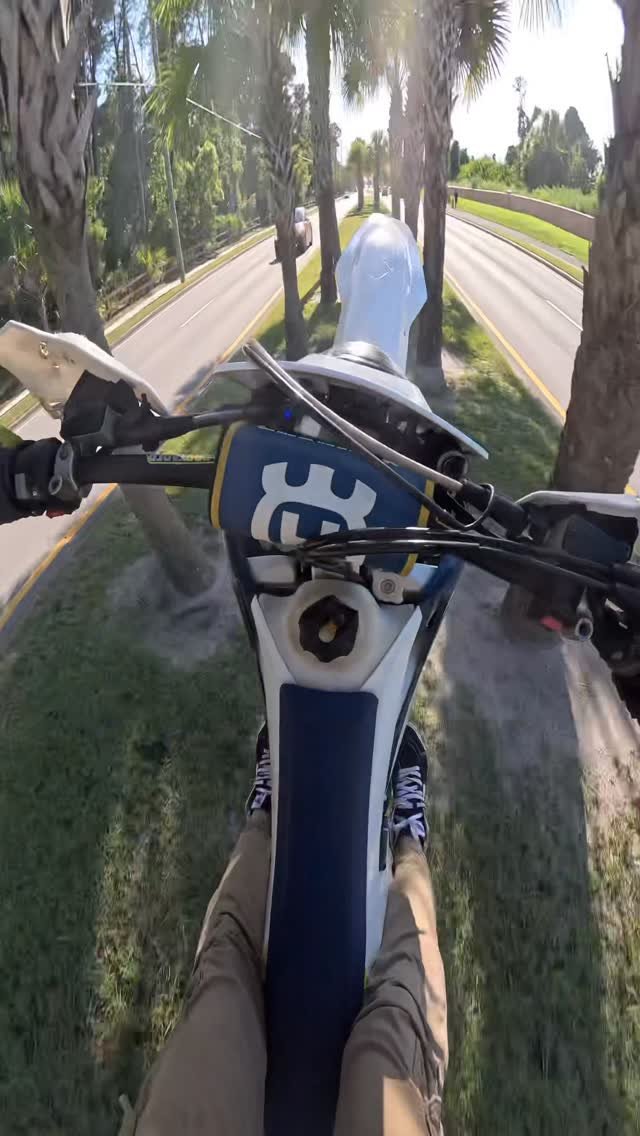 that_irish_guy31 게시물 이미지: 🌴Palm tree tunnel🌴
.
.
.
.
#pov #crazy #wild...