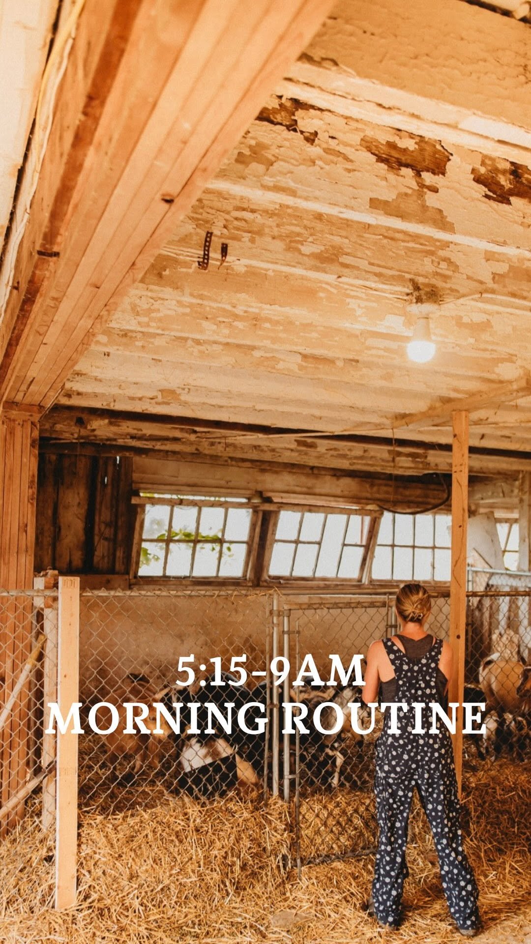 the_frenchiefarm 게시물 이미지: No trending audio, fueled by espresso, and a...
