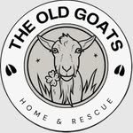 theoldgoatshome 프로필 사진