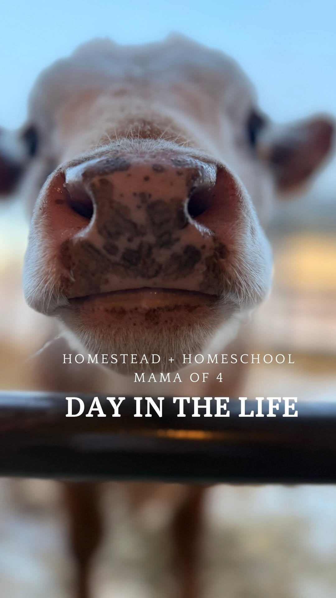 the_frenchiefarm 게시물 이미지: Not exactly 9 to 5, but close enough 🤪

Code...