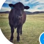 coloradofarmhouse 프로필 사진