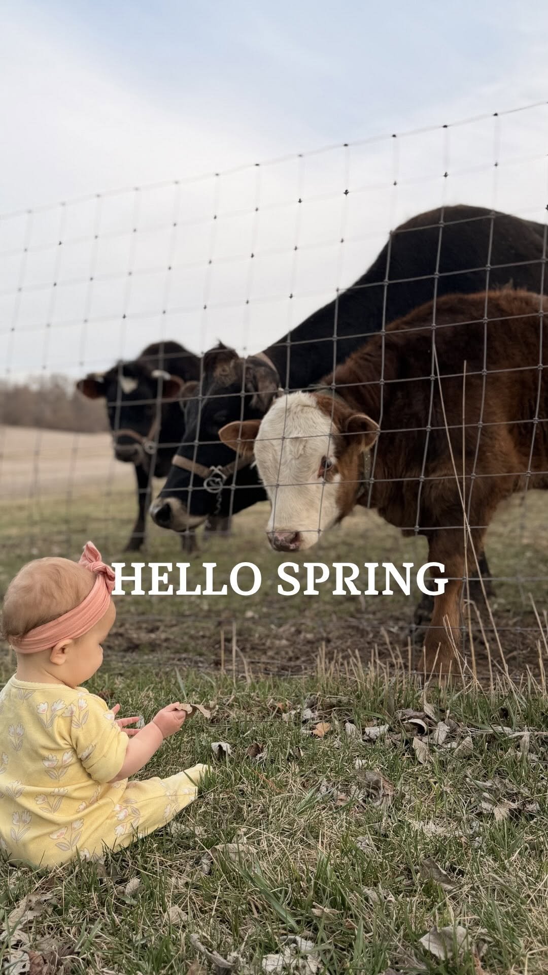 the_frenchiefarm 게시물 이미지: See ya winter, HELLO SPRING! 🌺 

#spring...