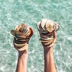 gulfcoastshells 프로필 사진