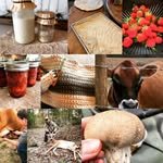 hidden_creek_miniature_jerseys 프로필 사진