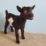 fairywoodfarm 프로필 사진