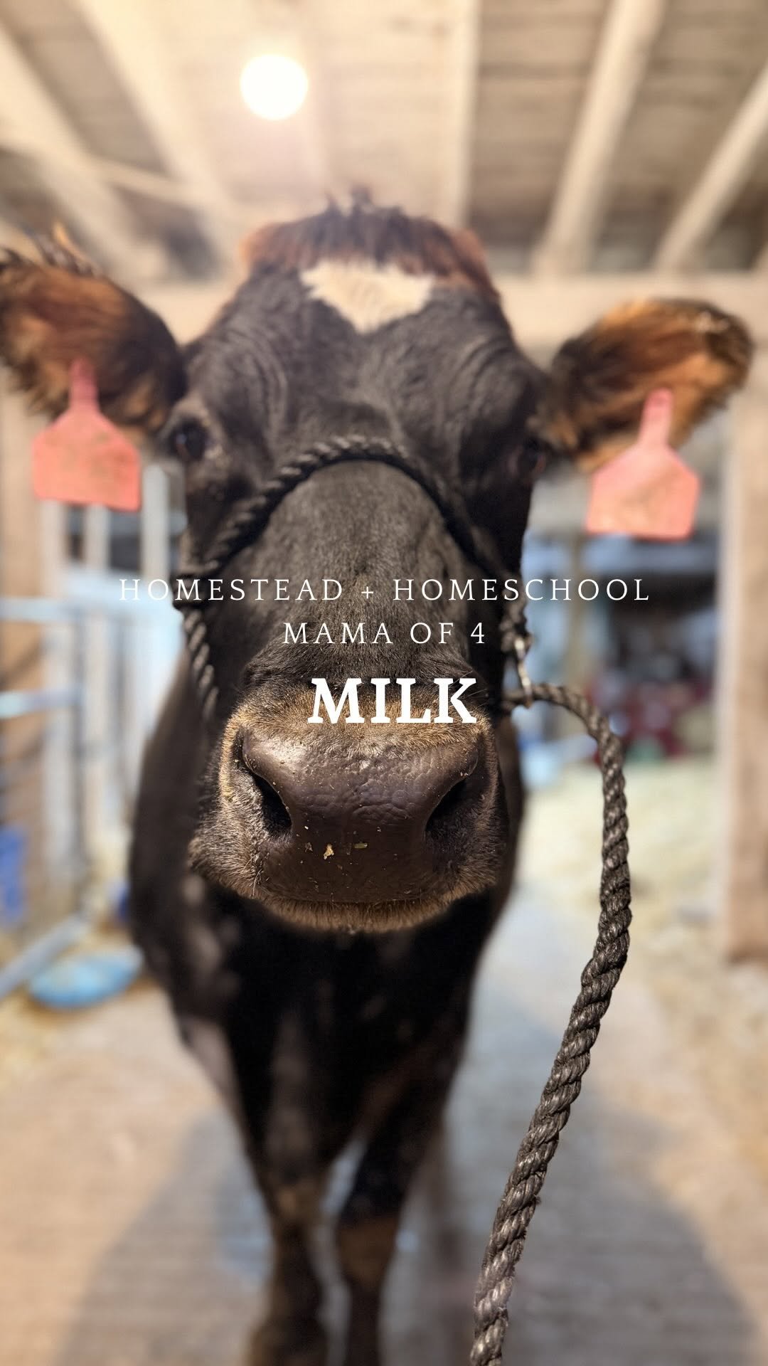 the_frenchiefarm 게시물 이미지: Here’s the thing 👇🏻 

I’m not pro OR anti raw...