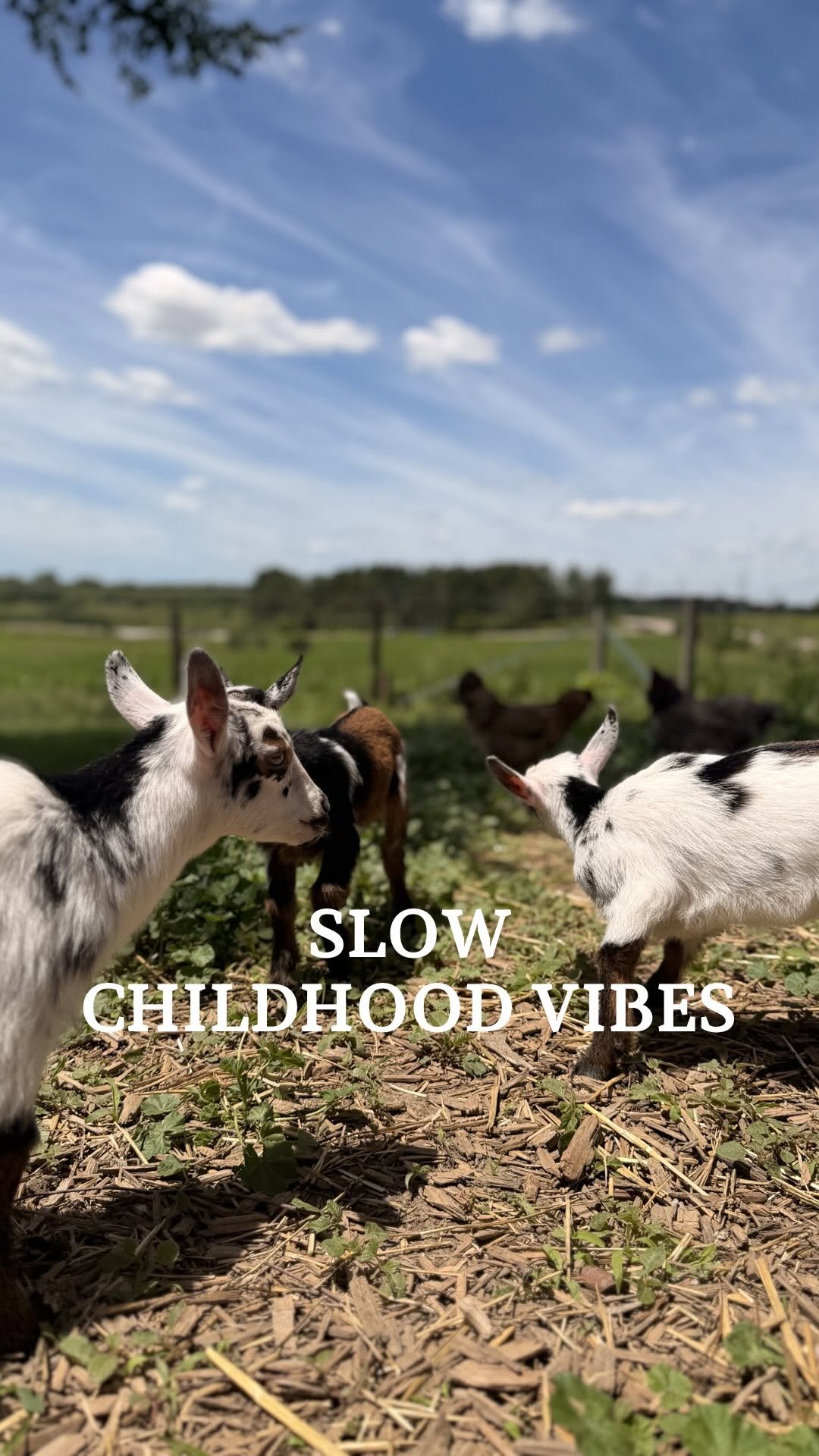 the_frenchiefarm 게시물 이미지: Heavy on the slowing down childhood vibes here...