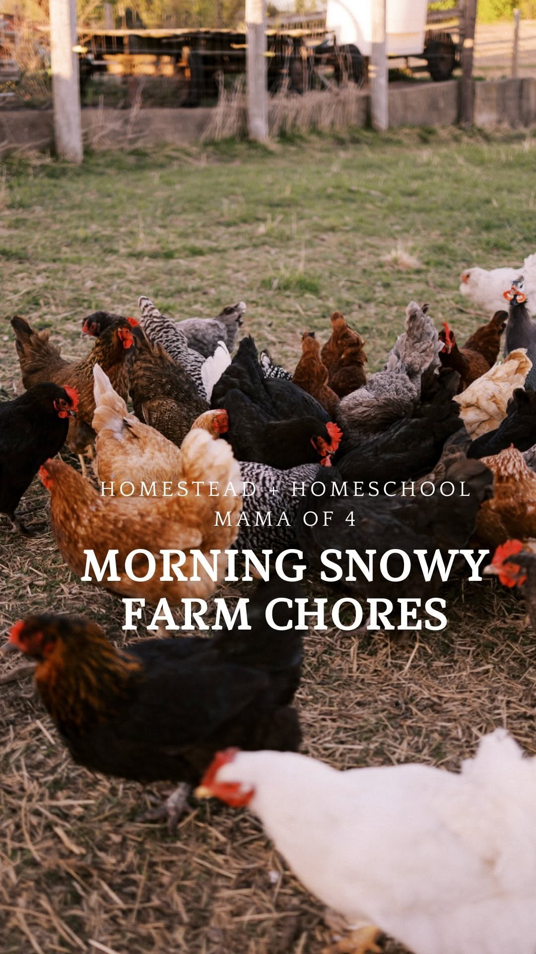 the_frenchiefarm 게시물 이미지: And just like that, winter is officially...