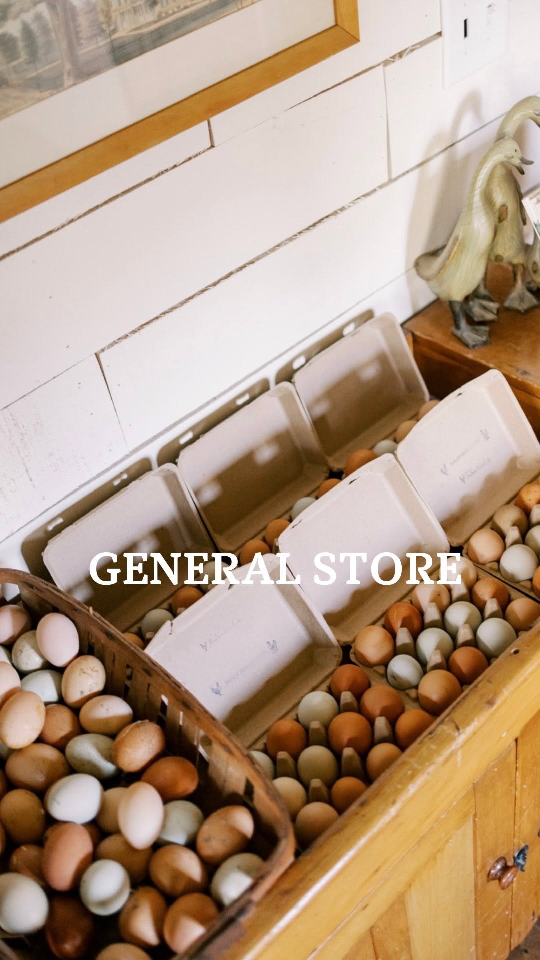 the_frenchiefarm 게시물 이미지: Or you could just shop for your pastured eggs,...