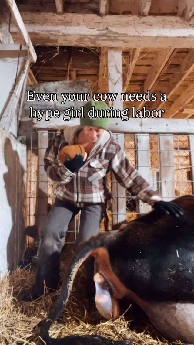 the_frenchiefarm 게시물 이미지: Thanks for the name suggestions, friends!...