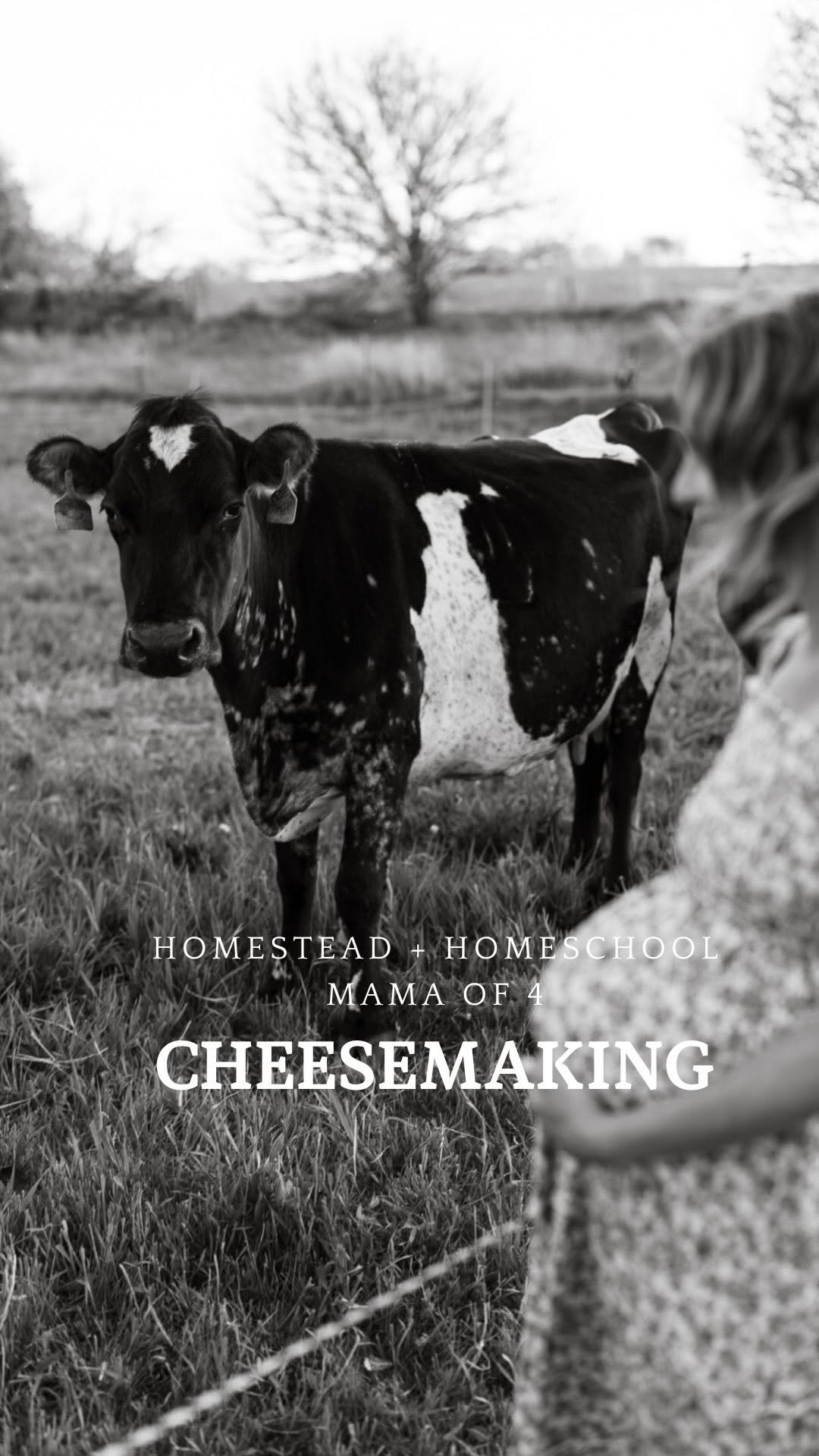 the_frenchiefarm 게시물 이미지: At least it tasted good 🤪

#homesteadmama...