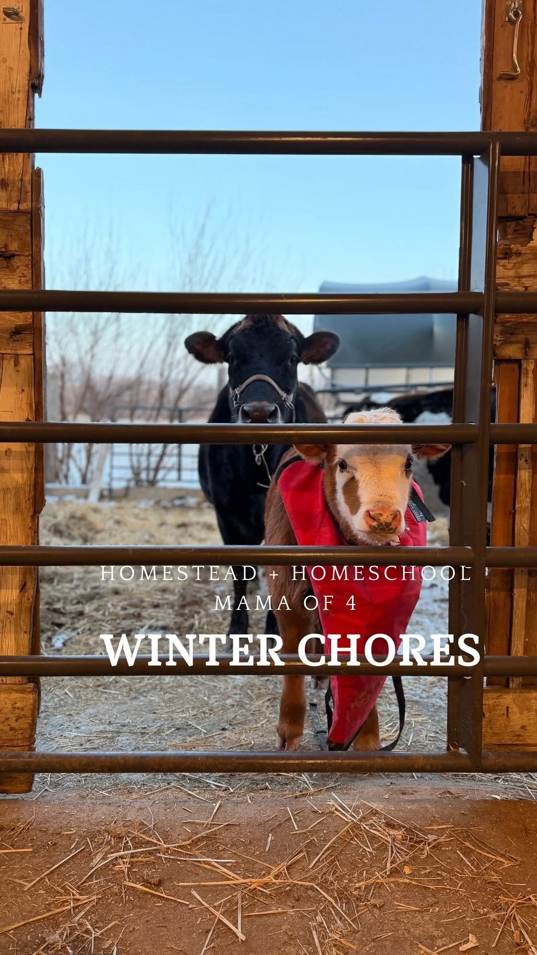 the_frenchiefarm 게시물 이미지: I mean, these subzero temps need to end...