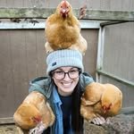 springfedhomestead 프로필 사진