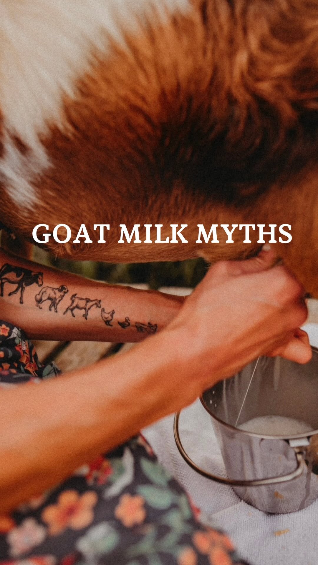 the_frenchiefarm 게시물 이미지: Sorry not sorry, but your goat milk should NOT...