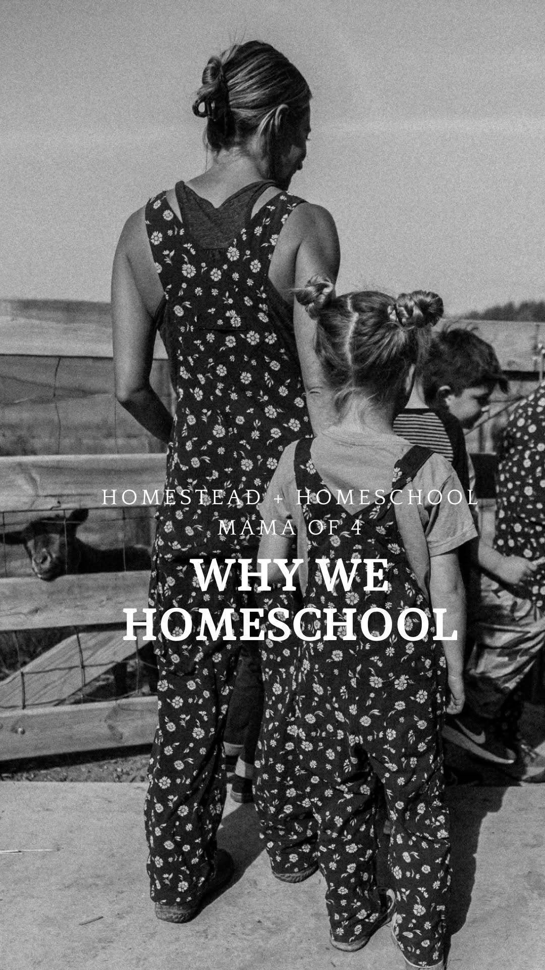 the_frenchiefarm 게시물 이미지: Why do we homeschool? Well, these moments...